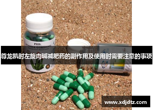 尊龙凯时左旋肉碱减肥药的副作用及使用时需要注意的事项