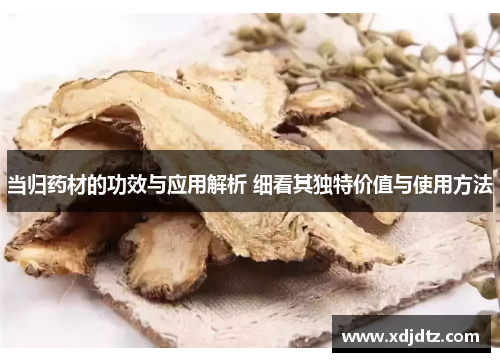 当归药材的功效与应用解析 细看其独特价值与使用方法